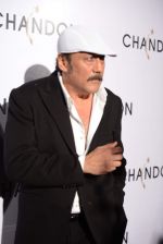 Jackie Shroff at Moet Hennesey launch of Chandon wines made now in India in Four Seasons, Mumbai on 19th Oct 2013